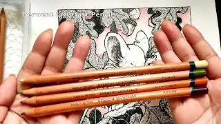 Mouse Guard Coloring Book|David Petersen| Derwent Lightfast Pencils |Part - 1|