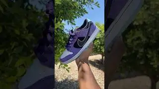 NIKE SB DUNK LOW X HAYLEY WILSON 2025!👀 MAN OH MAN THESE BEAUTIFUL!🔥