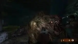 Underground Tunnels! Chapter 2! [PC] Metro 2033 Redux