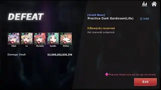 Dark Gardo RED Build vs Guild Boss | Insane Damage Numbers with Rally