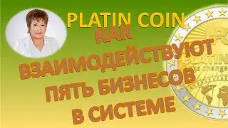 PLATIN COIN. КАК ВЗАИМОДЕЙСТВУЮТ ПЯТЬ БИЗНЕСОВ В СИСТЕМЕ ПЛАТИНКОИН PLC GROUP AG