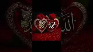 surah Rahman ayat number 01 30