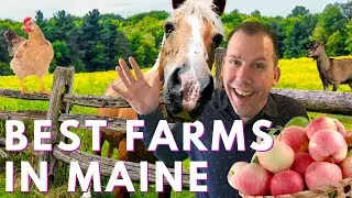 Shop Local The Best Farms in MAINE