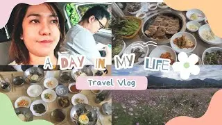 Last Part Of Our Fall Escaped #Family & Friends Bonding #Korean Cuisine #Koreavlog #Relaxing