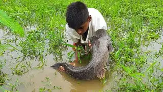 Traditional Hand Fishing 2022.  Smart Boy Catching Big Fish By Hand In Rainy Season In River Site