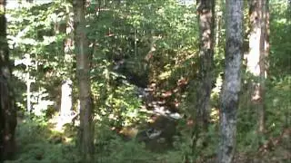 Montage canton de l'est.wmv