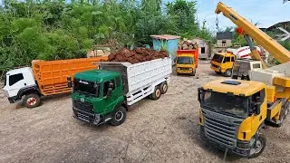 Muatan Berat Mobil Truk Tronton Panjang Fuso 220ps Hino 500 Tribal Isuzu Giga lewati Banjir Lumpur