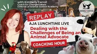 Dealing with the Challenges of Being an Animal Advocate