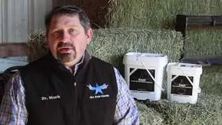 Excel Digestive Health Supplement for Horses by Mark DePaolo, DVM