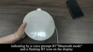 BOTDOYS YF-04 Sunrise Alarm Clock White Noise Machine: Natural Wake Up Light - Dimmable Clock