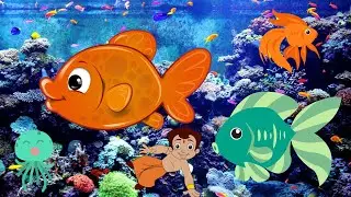 Wow Fish and Music cocomelon #cartoon #animada #animiert #комикс #एनीमेशन #animatie #&ccedil;izgifilm movie