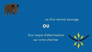 Animaux sauvages et &eacute;lectrisation