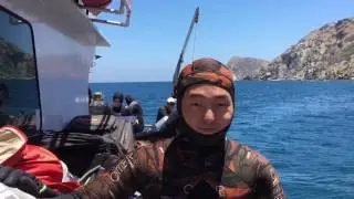 Blue Holic Scuba - Boat Dive Trip to Catalina Island