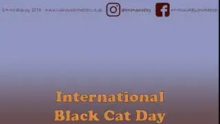 International Black Cat Day 2018