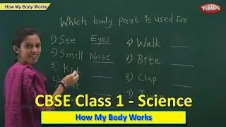 How My Body Works | Class 1 CBSE Science | Science Syllabus Live Videos | Video Training