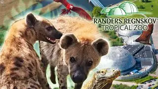 Bakari the Hyena gets a Girlfriend | Randers Regnskov // Tropical Zoo (Vlog)