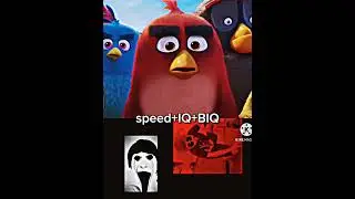 rad vs Mason.exe) #edit #angrybirds @RealSMB here your request