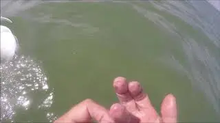 How Not To Fish, Fishing With Rob Painless.