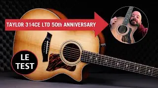 Test Taylor 314ce 50th Anniversary