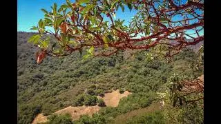 Santa Clara County Parks