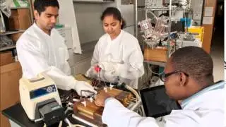 FIU Biomedical Engineering Senior Design Projects 2014