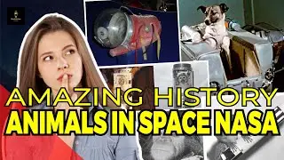 Animals In Space Nasa - AMAZING HISTORY &ndash; Unbelievable! 😱