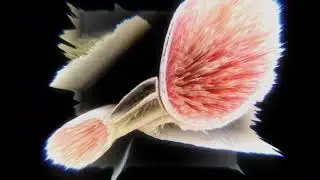 Machinedrum - 'U Just R (feat. Jorge Elbrecht)' (Official Audio)