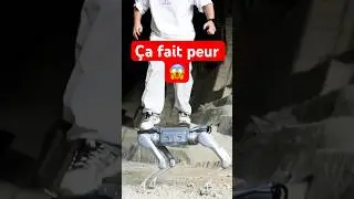 Ce chien robot pourrait faire la guerre&hellip; 😱!