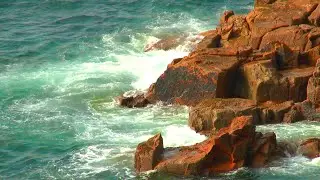 🎵 Orchestra & Magic Duduk | Beautiful romantic music | Dmitry Metlitsky Orchestra
