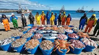Inside Commercial Seafood Fishing &mdash; The Harsh Reality | Documentary