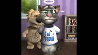 Talking Tom finest 3