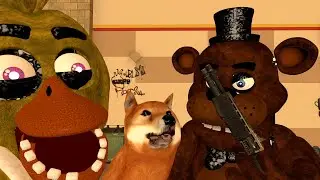 У ЧИКИ ПОЯВИТСЯ СОБАКА!