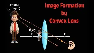 Image Formation by Convex Lens | Ray Diagrams | Step-by-Step Explanation #raydiagrams #convexlens