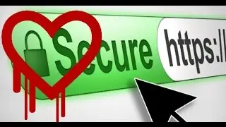 Heartbleed Bug Exploit