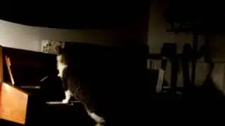 Missy playing the piano!