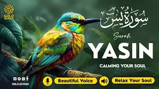 Healing Surah Yasin for Deep Sleep, Depression & Mental Health ✦ Surah Yaseen Quran Audio