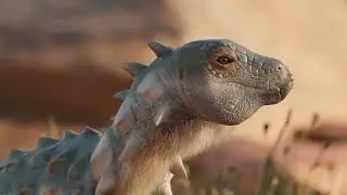 Jakapil official animation