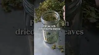 Домашний экстракт стевии из сада! #стевия #садтрапы #садоводство