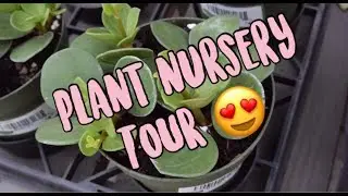 Plant Nursery Tour | Virginia Beach, VA