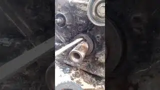 crank l seal remove#youtube #foryou #tiktok