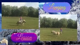 Snowball's INCREDIBLE Training Progress (Lunging)