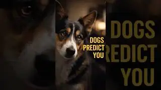 Dogs Predict What Happens Next (Before You Move)