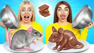&Ccedil;ikolata ve Ger&ccedil;ek Yemek Meydan Okumasi | Komik Mutfak Savaşı Multi DO Best