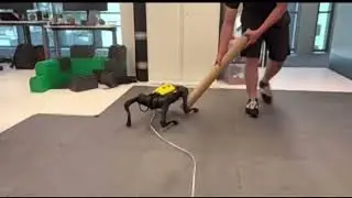 poor but strong robot dog