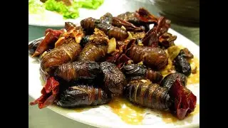 5 Bizarre Foods in India You Won&rsquo;t Believe Exist! 🌶️🇮🇳