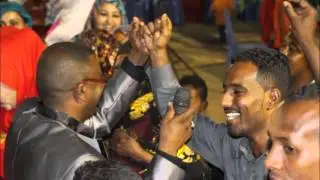 عنى مالم / المطرب النذير حامد البروف