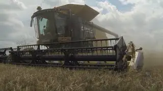 #IPTVMarket VoW: Wheat Harvest