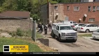 Man shot, killed in Braddock apartment building