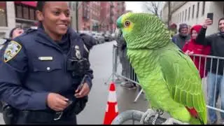 🦜🤣 Parrot Causes Panic in the Police Station—You Won’t Believe This! 😂🔥 You Never Seen Before