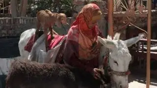 Egypt - everyday life
